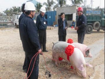 中海油東方石化領(lǐng)導(dǎo)來(lái)第六直屬分公司海南海油項(xiàng)目部慰問(wèn)